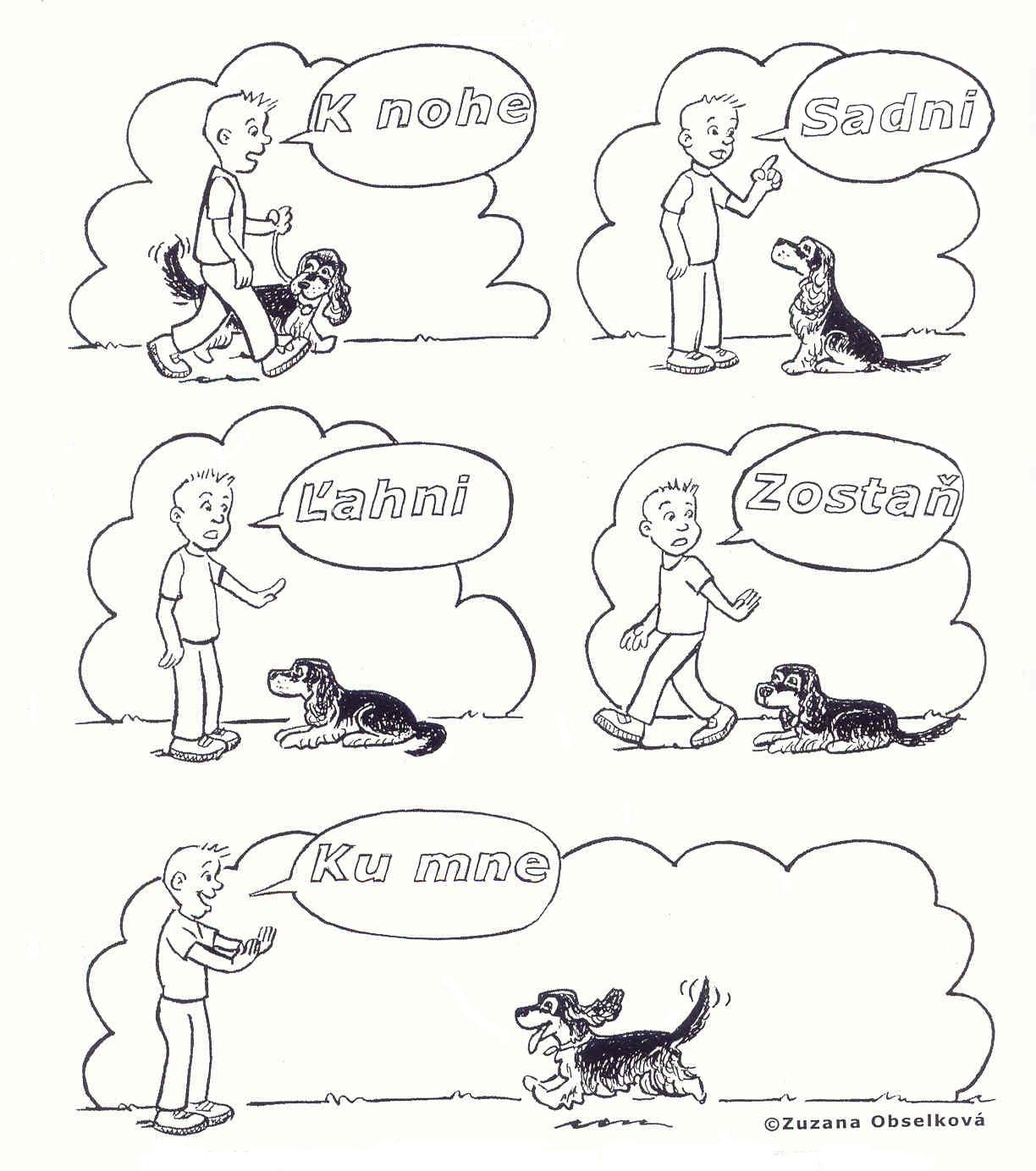 Výcvik k poslušnosti